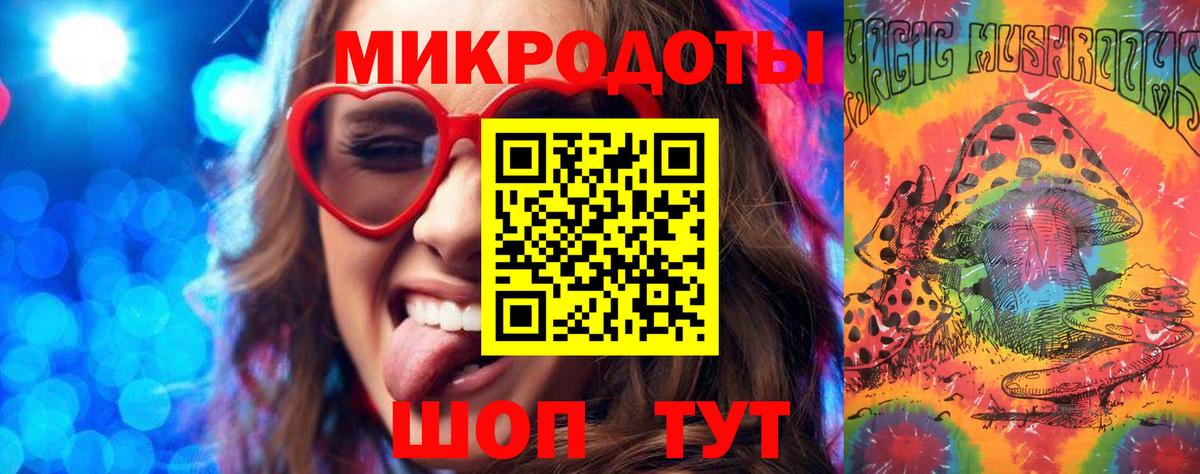 Галлюциногенные грибы Psilocybe Донской